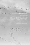 Cover: The Town I Never Told You About - Seagull Books London Ltd