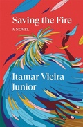 Cover: Saving the Fire - Verso Books