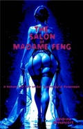 Cover: The Salon of Madame Feng - Mr Stephen Glover