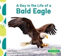 Cover: Day in the Life of a Bald Eagle - Abdo Kids Junior
