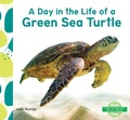 Cover: Day in the Life of a Green Sea Turtle - Abdo Kids Junior