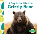 Cover: Day in the Life of a Grizzly Bear - Abdo Kids Junior