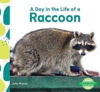 Enlarge image Cover: Day in the Life of a Raccoon - Abdo Kids Junior