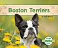 Cover: Boston Terriers - Abdo Kids Jumbo