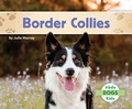Cover: Border Collies - Abdo Kids Jumbo