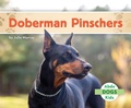 Cover: Doberman Pinschers - Abdo Kids Jumbo