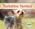 Cover: Yorkshire Terriers - Abdo Kids Jumbo