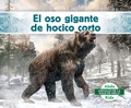 Cover: El Oso Gigante de Hocico Corto (Giant Short-Faced Bear) - Abdo Kids Jumbo