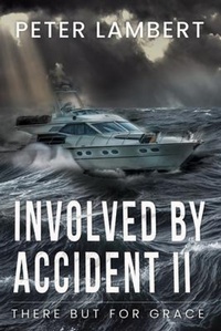 Enlarge image Cover: Involved by Accident II - TwinVerse Prime