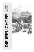 Cover: Die Irrlichter - e-artnow