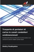 Cover: Trasporto di portatori di carica in canali conduttori unidimensionali - Edizioni Sapienza