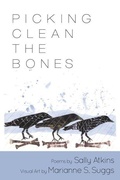 Cover: Picking Clean the Bones - Sally Atkins