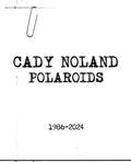 Cover: Cady Noland - Gagosian/Rizzoli