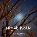 Cover: Night Walk - BoD - Books on Demand
