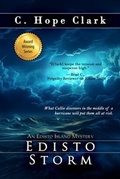 Cover: Edisto Storm - Edisto Bridge Books