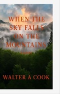 Cover: When the Sky Fell on the Mountain - Indy