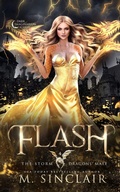 Cover: Flash - Lost & Bound Publishing