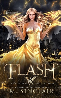 Enlarge image Cover: Flash - Lost & Bound Publishing