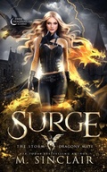 Cover: Surge - Lost & Bound Publishing