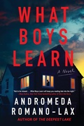 Cover: What Boys Learn - SohoCrime,US