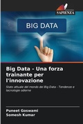 Cover: Big Data - Una forza trainante per l'innovazione - Edizioni Sapienza