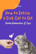 Cover: How to Entice a Sick Cat to Eat - Home Remedies & Tips - Jane Smith