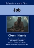 Cover: Job - Reading Stones Publishing