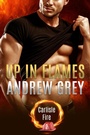 Cover: Up in Flames - Dreamspinner Press