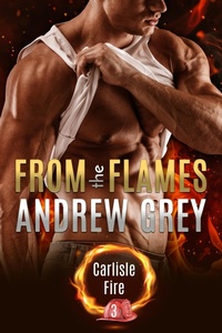 Enlarge image Cover: From the Flames - Dreamspinner Press