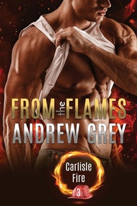 Enlarge image Cover: From the Flames - Dreamspinner Press