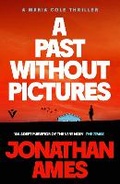 Cover: A Past Without Pictures - Pushkin Vertigo