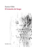 Cover: El tr&aacute;nsito de fuego - Vaso Roto Ediciones