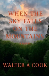 Enlarge image Cover: When the Sky Falls on the Mountains - Walter A Cook