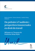 Cover: Du pr&eacute;toire &agrave; l'auditoire : perspectives transversales en droit du travail - St&auml;mpfli Verlag AG