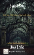 Cover: Buried Sins (Echoes of the South Trilogy, #2) - BrightBay Heritage Press
