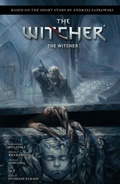 Cover: Andrzej Sapkowski's The Witcher: The Witcher - Dark Horse Books