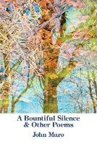 Enlarge image Cover: A Bountiful Silence - Kelsay Books