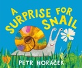 Cover: A Surprise for Snail - Candlewick Press,U.S.