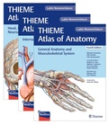 Bild: THIEME Atlas of Anatomy, Latin Nomenclature, Three Volume Set, Fourth Edition - Thieme Publishers