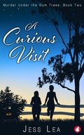 Cover: A Curious Visit - Ylva Publishing