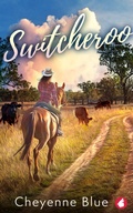 Cover: Switcheroo - Ylva Publishing