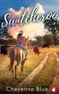 Enlarge image Cover: Switcheroo - Ylva Publishing