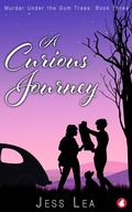 Cover: A Curious Journey - Ylva Publishing