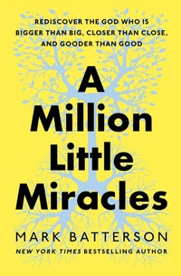 Enlarge image Cover: A Million Little Miracles - Multnomah Press