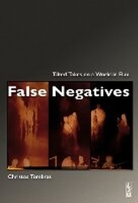 Enlarge image Cover: False Negatives - L2U Publishing