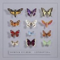Cover: Lepidoptera - 375 Media GmbH