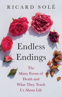 Enlarge image Cover: Endless Endings - Princeton University Press