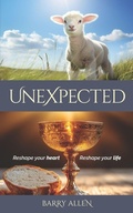 Cover: UNEXPECTED - Barry Allen