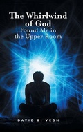 Cover: The Whirlwind of God Found Me in the Upper Room - FriesenPress