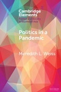 Cover: Politics in a Pandemic - Cambridge University Press